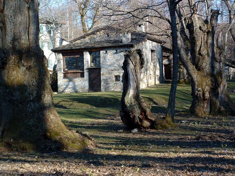 Poranceto forest museum